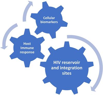 Predicting Post-treatment HIV Remission: Does Size of the Viral Reservoir Matter?